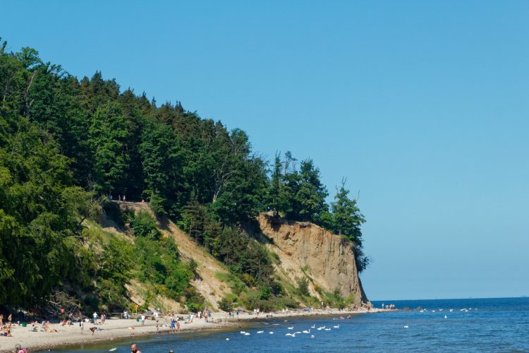 Beach and cliff in Gdynia Orlowo